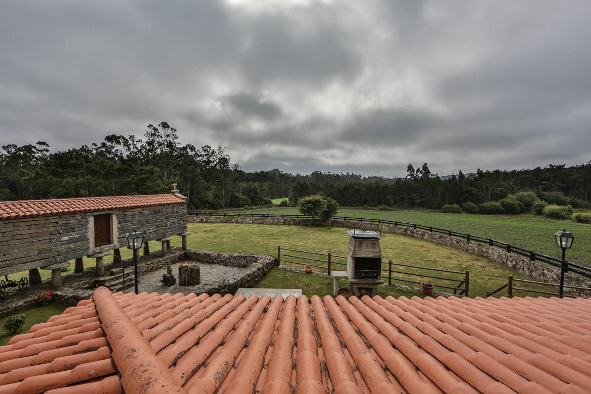 Vista