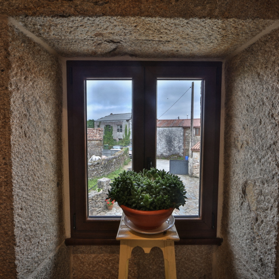 Detalle ventana